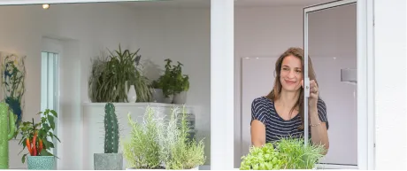 Insektenschutz Beispiel