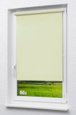 perlweiß Vorschau Lysel Outlet - Mini Rollo Tageslicht Perlweiß #1W perlweiß