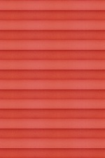 +