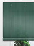 RAL 6005 THIN Fensteransicht