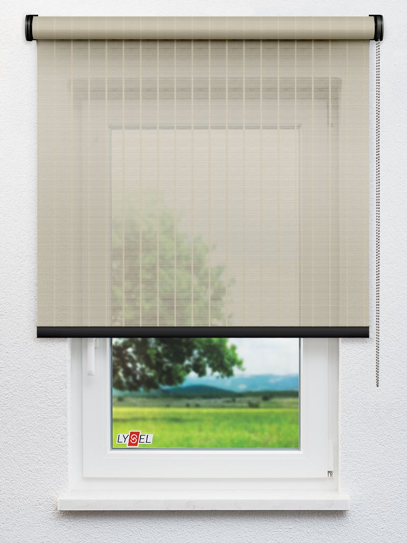 R1.777 Fensteransicht