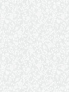 Fiorrancio 64.01 Detailansicht