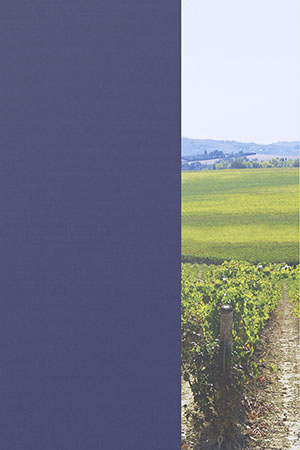 Preview Clingen 85.040e 2