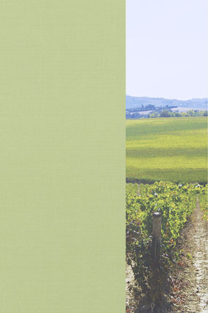 Preview Clingen 98.040e 2