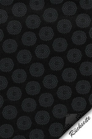 Preview Regor 5509.2808 4
