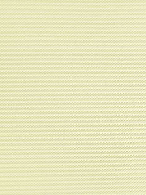 Detailansicht Bergwitzsee 010175