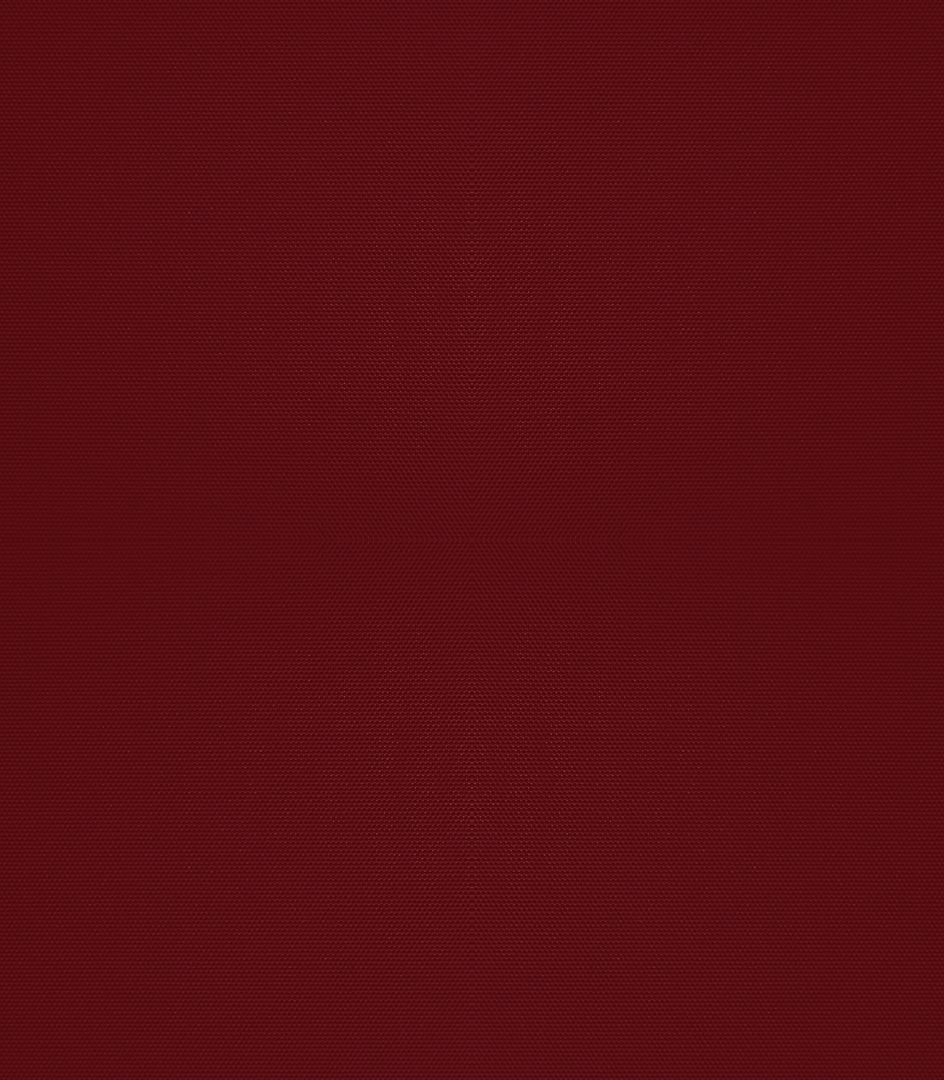 Detailansicht Bergwitzsee 040182