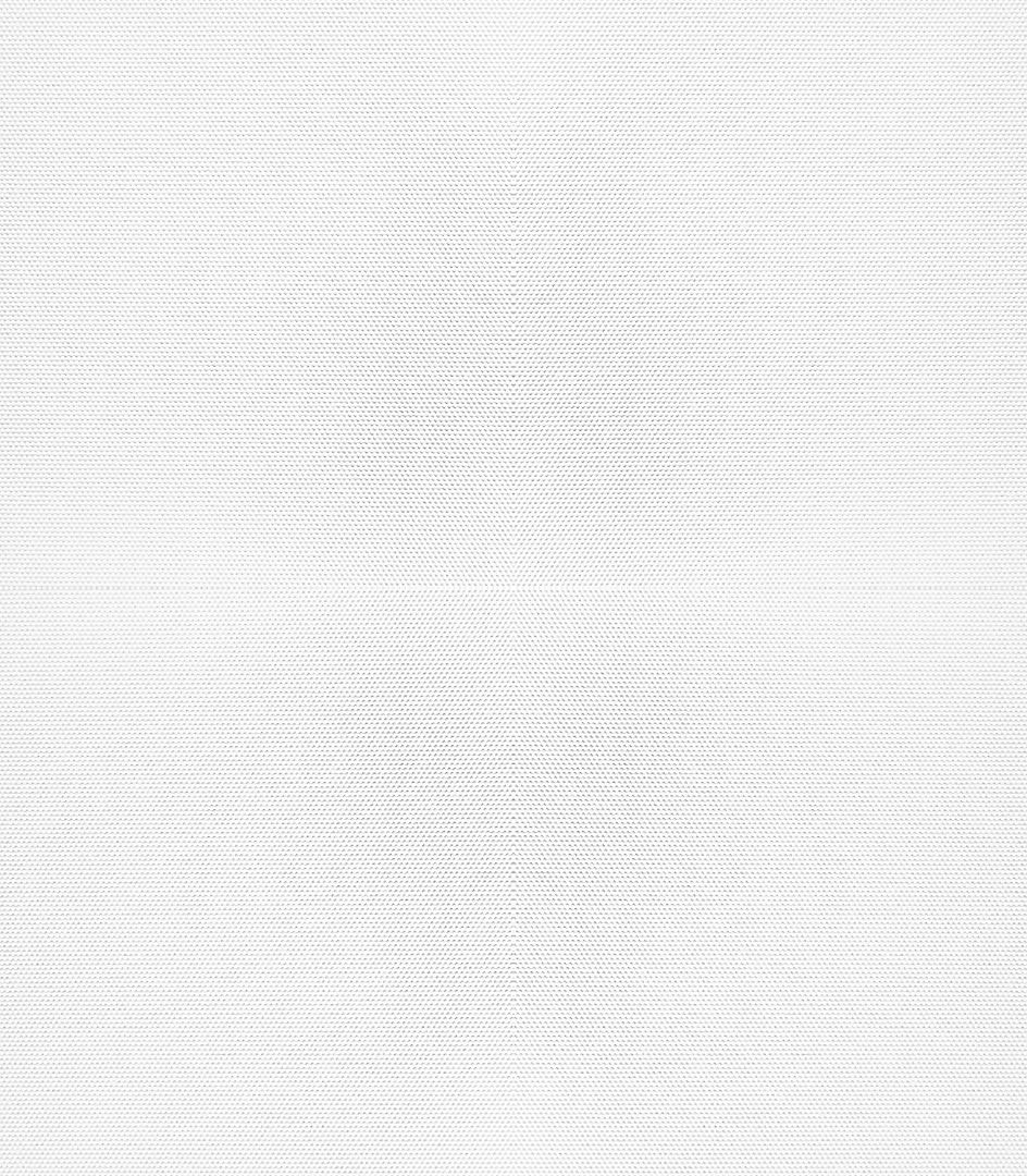 Detailansicht Bergwitzsee 010189