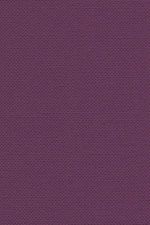 Detailansicht Lamelle Belgien 1702.1010
