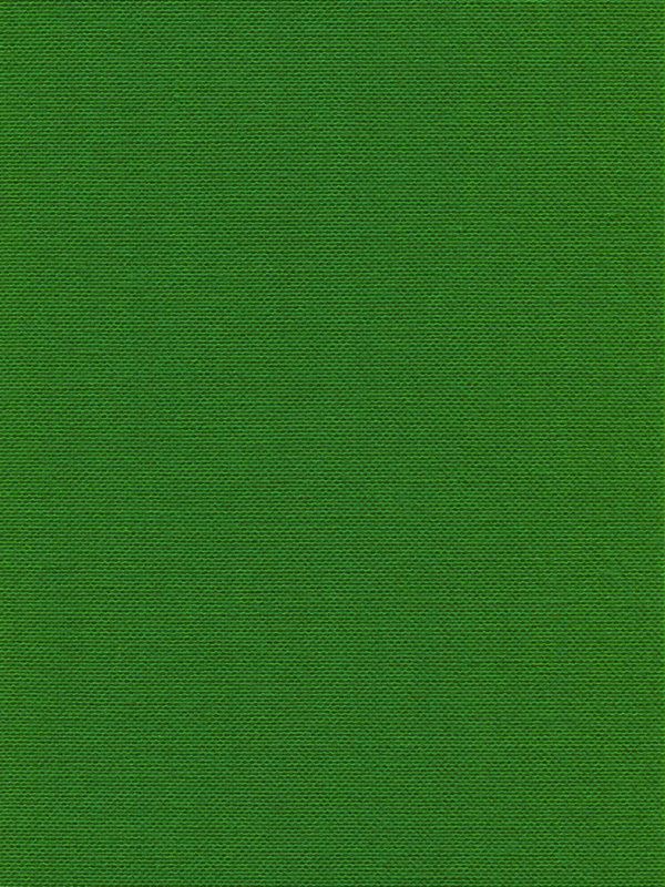 Detailansicht Lamelle Belgien 6003.1011
