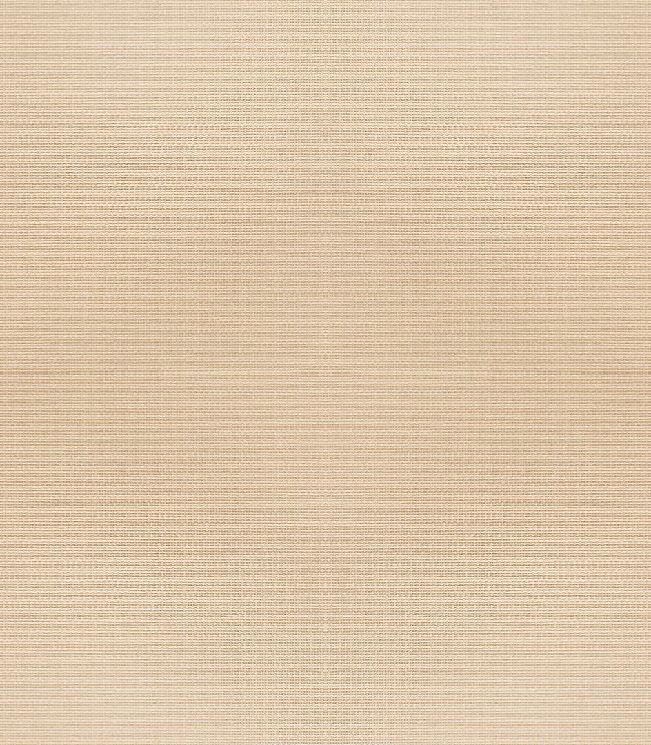 Detailansicht Chiemsee 028311