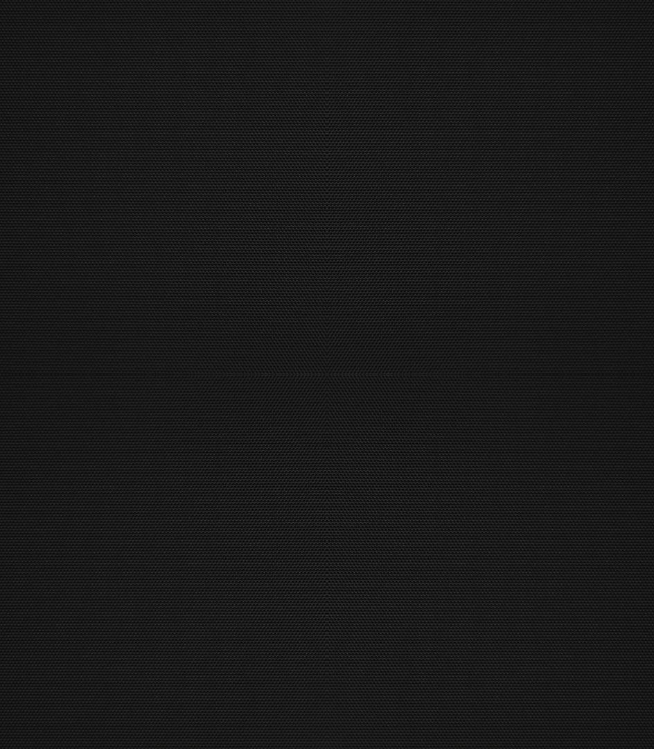 Detailansicht Hufeisensee 091528