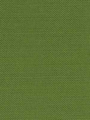 Detailansicht Bodensee 066336