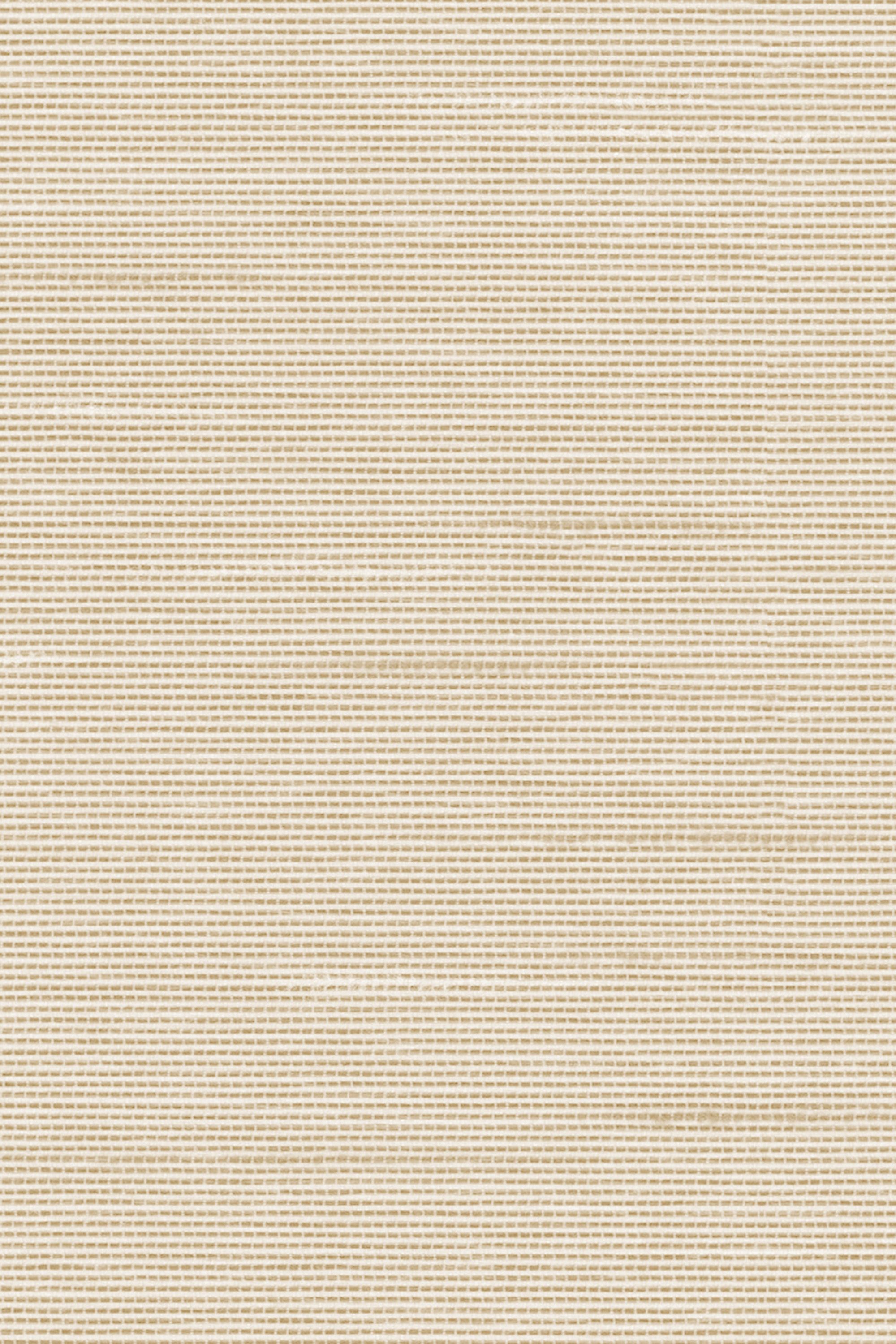 Detailansicht Lamelle Haiti 2002.1165