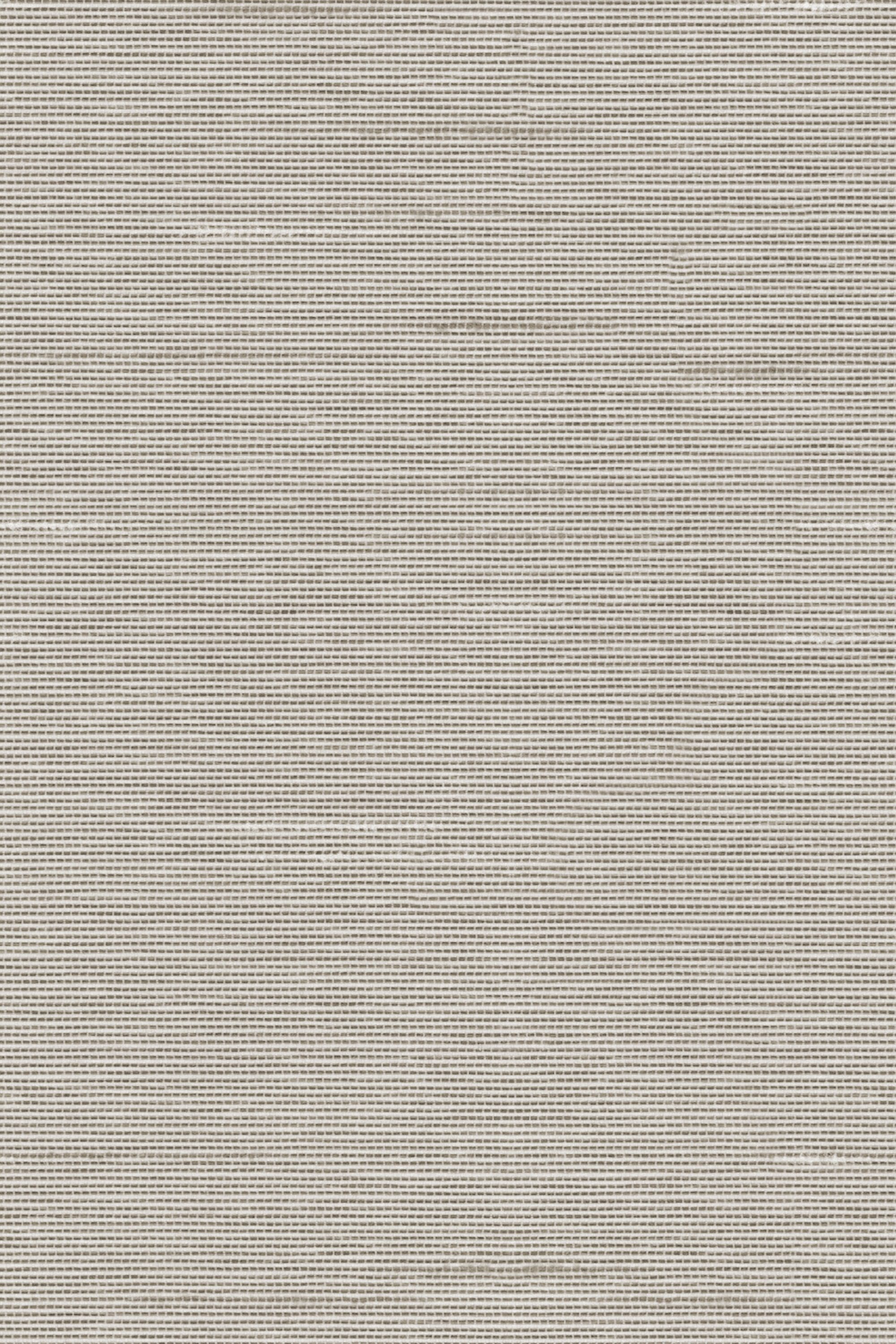 Detailansicht Lamelle Haiti 2003.1166