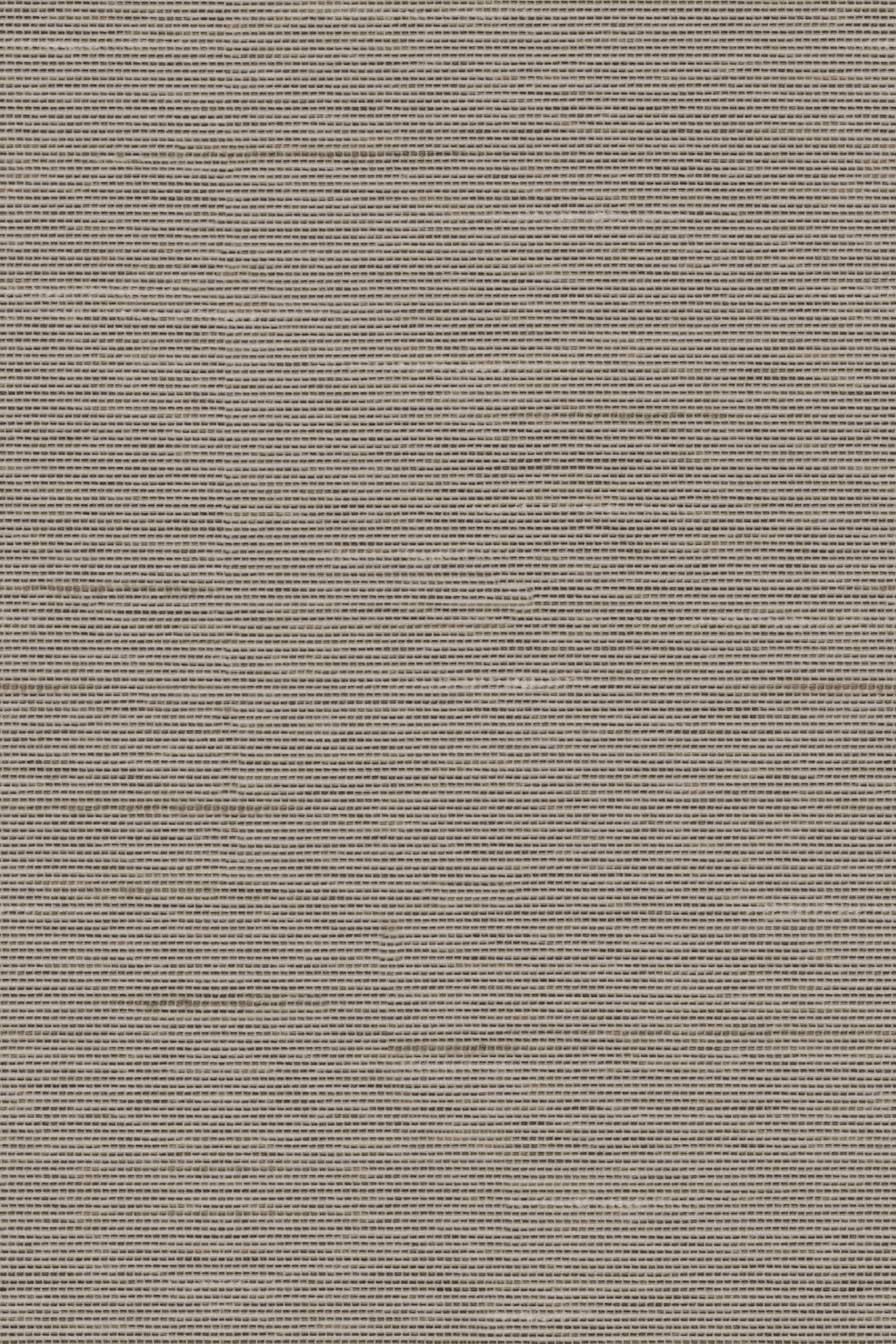 Detailansicht Lamelle Haiti 9005.1169