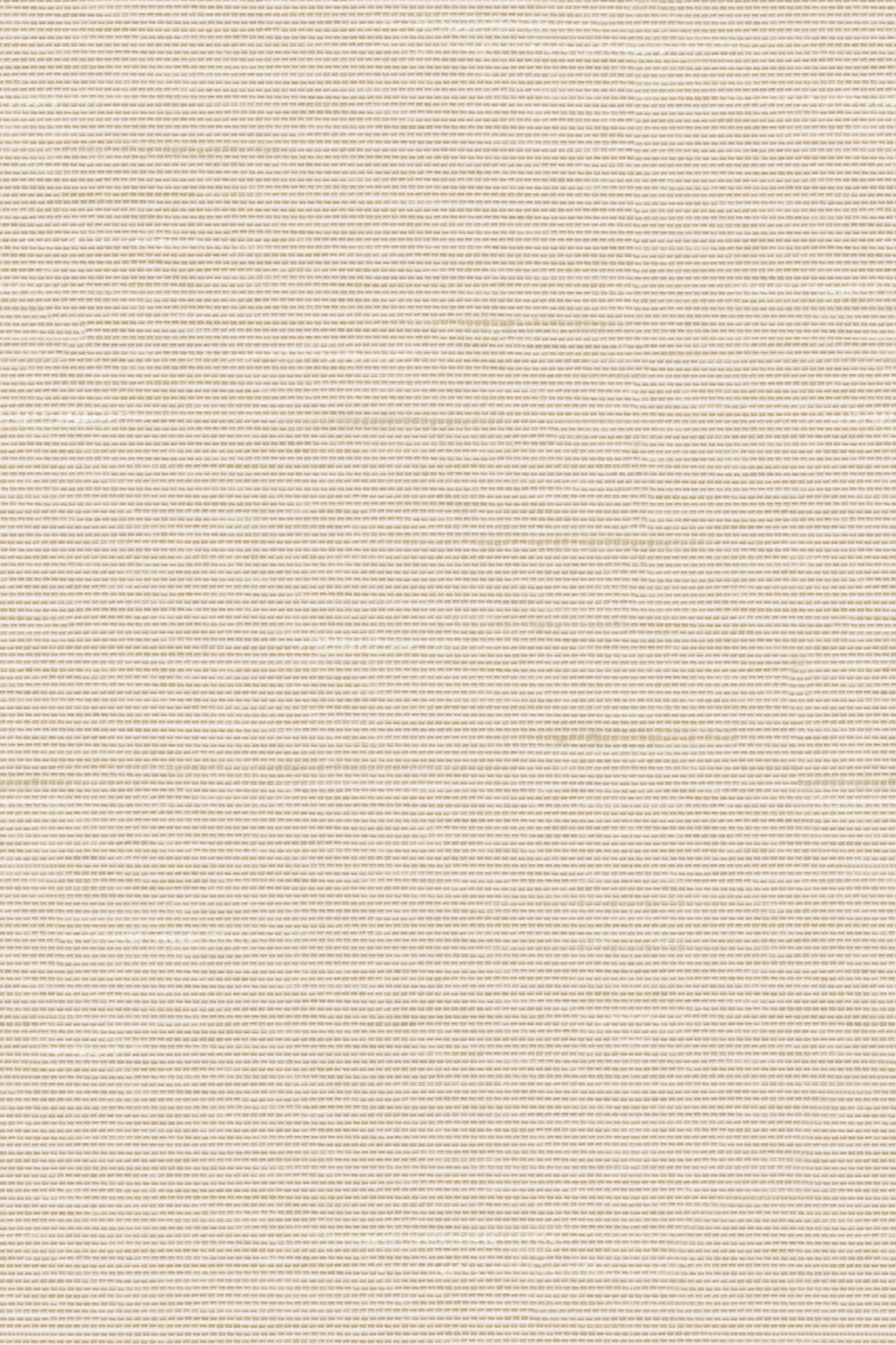 Detailansicht Lamelle Haiti BO 2002.1184