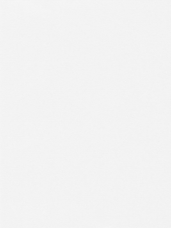 Detailansicht Lamelle Bulgarien 1001.1004
