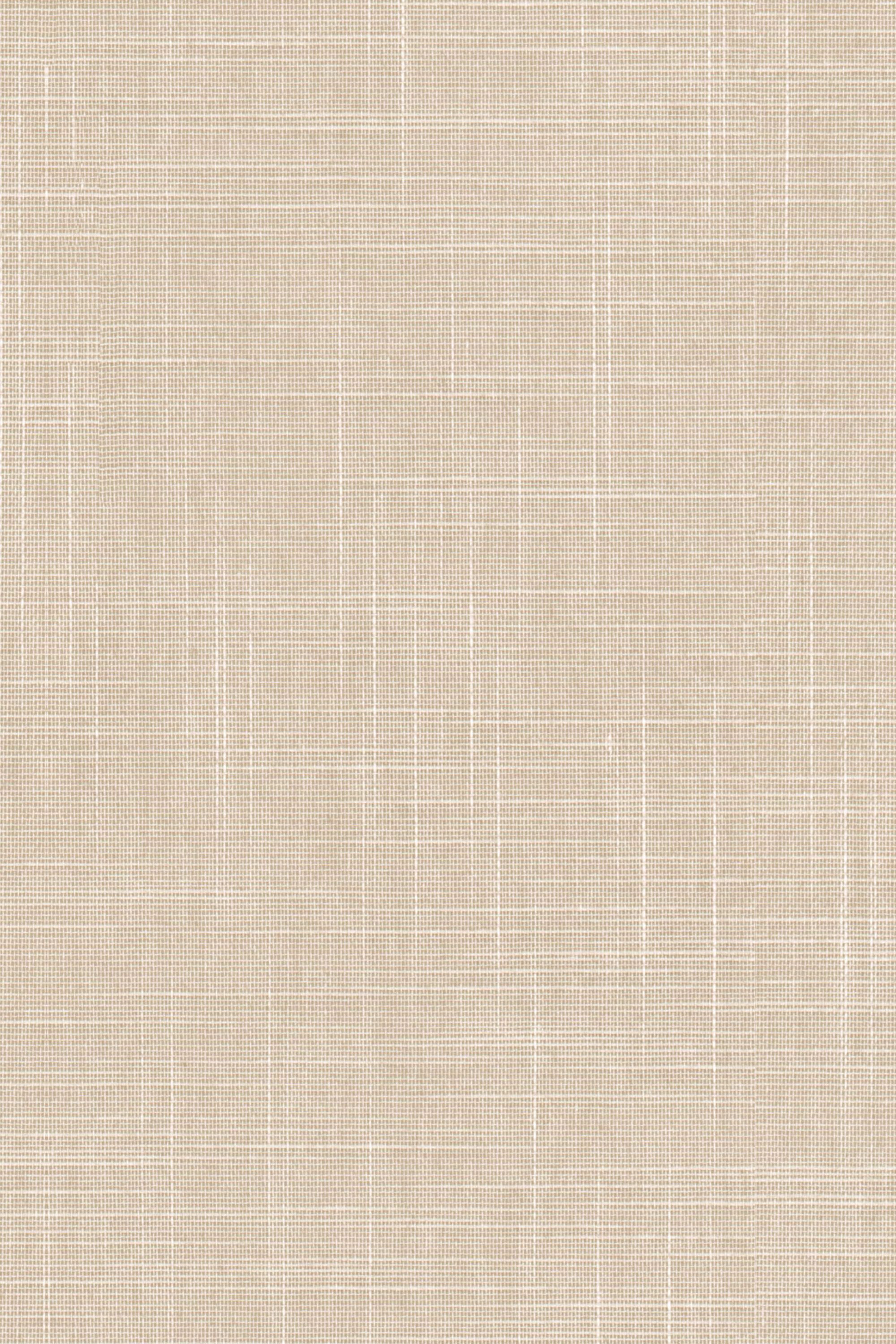 Detailansicht Lamelle Bahamas 2003.1135