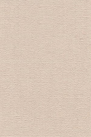 Lamelle Dänemark 2005.1046 Detailansicht