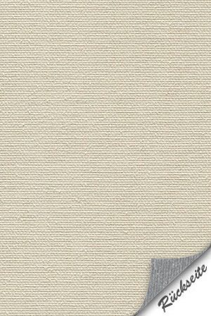 Lamelle Norwegen 2002.1068 Detailansicht