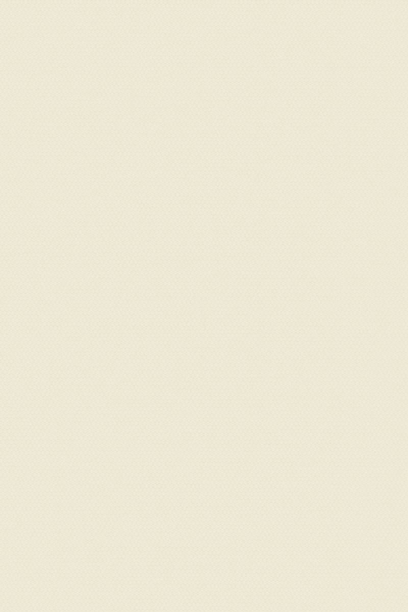 Lamelle Bulgarien 2008.1128 Detailansicht