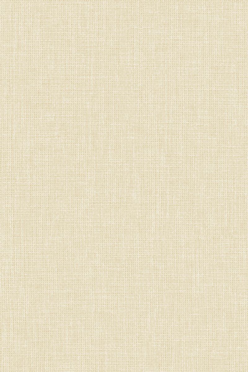 Lamelle Chile 2002.1143 Detailansicht