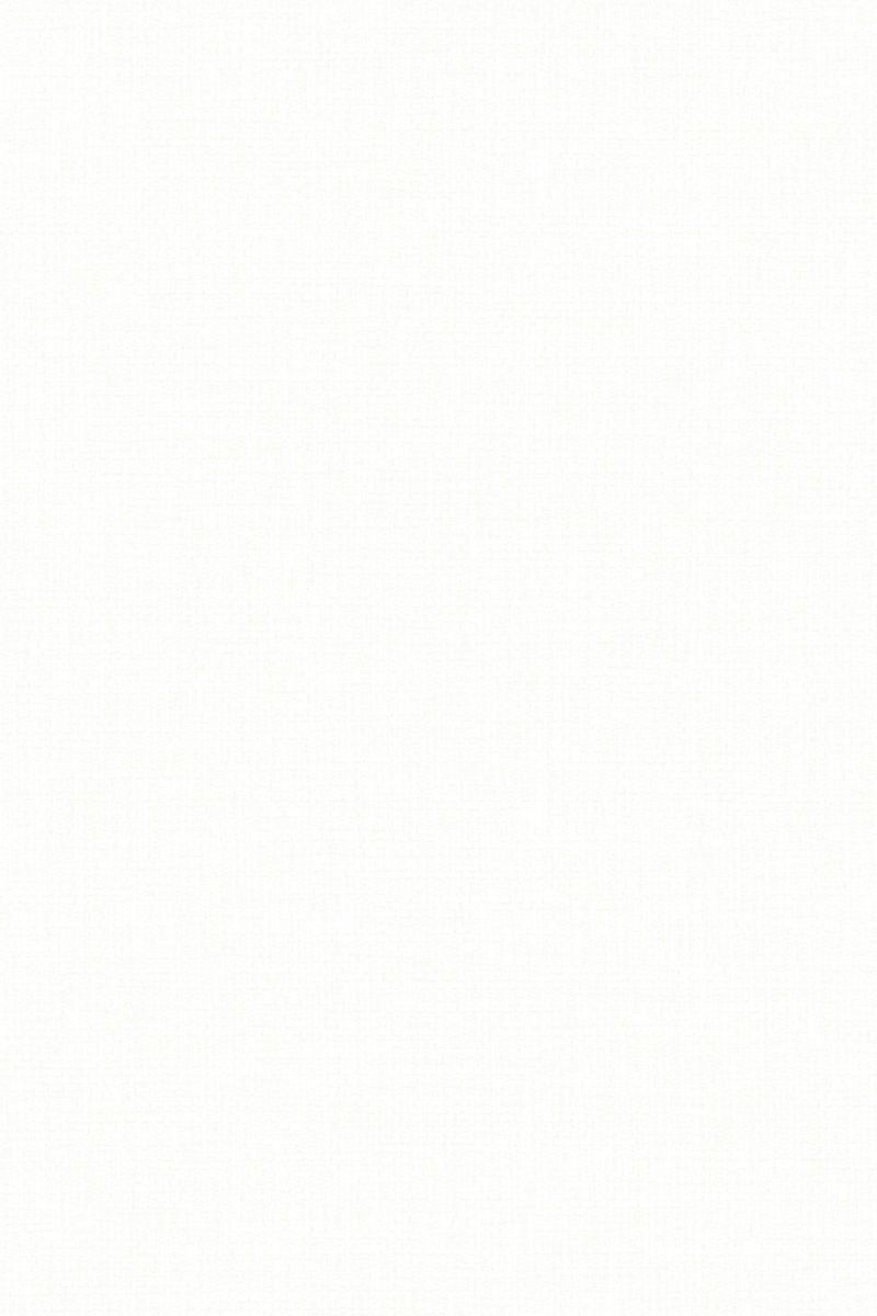 Lamelle Chile BO 1001.1171 Detailansicht