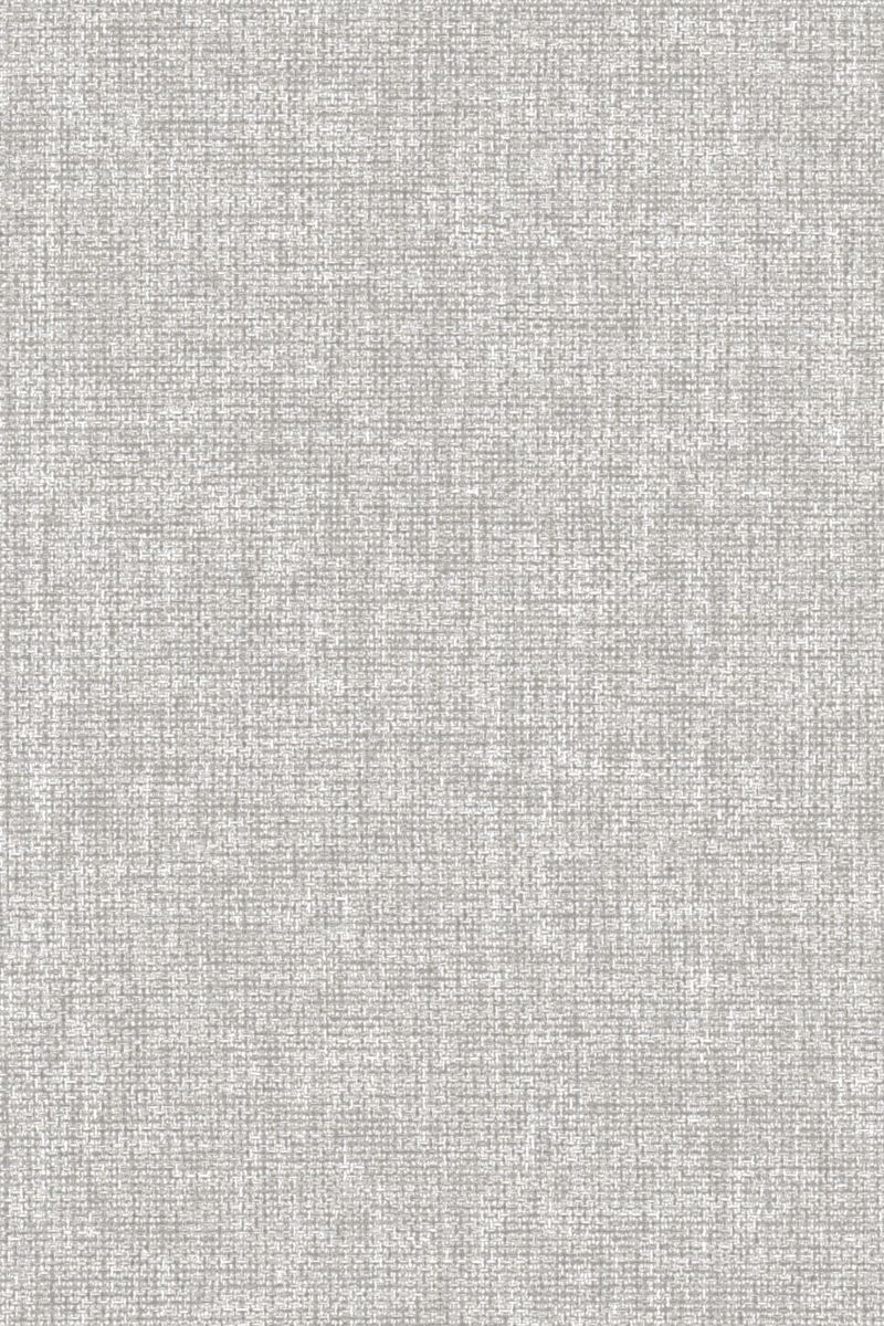 Lamelle Chile BO 2004.1174 Detailansicht