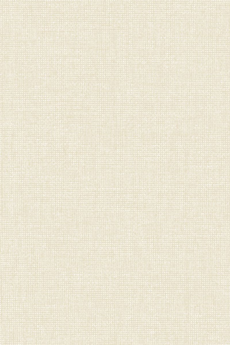 Lamelle Chile BO 2002.1172 Detailansicht