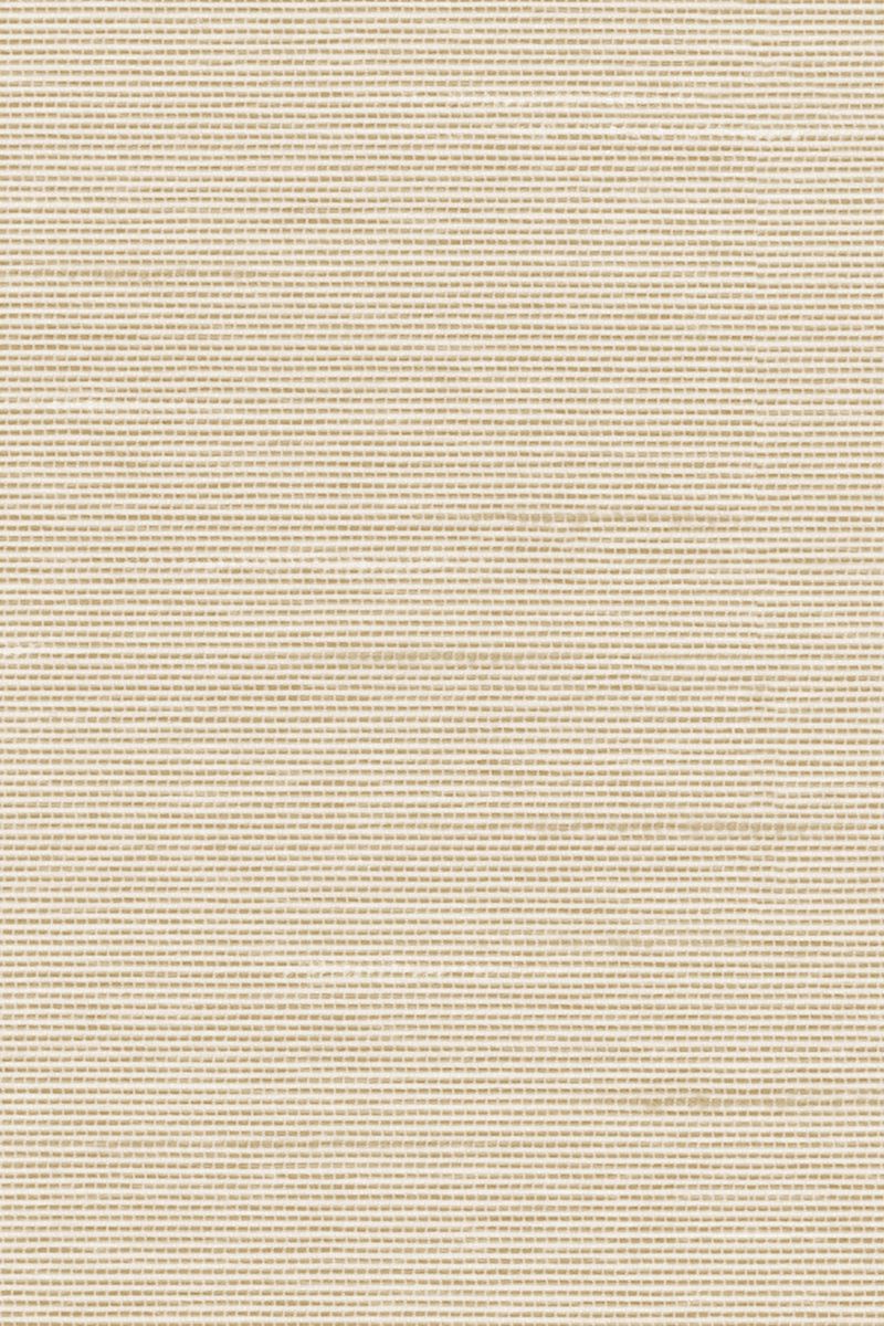 Lamelle Haiti 2002.1165 Detailansicht