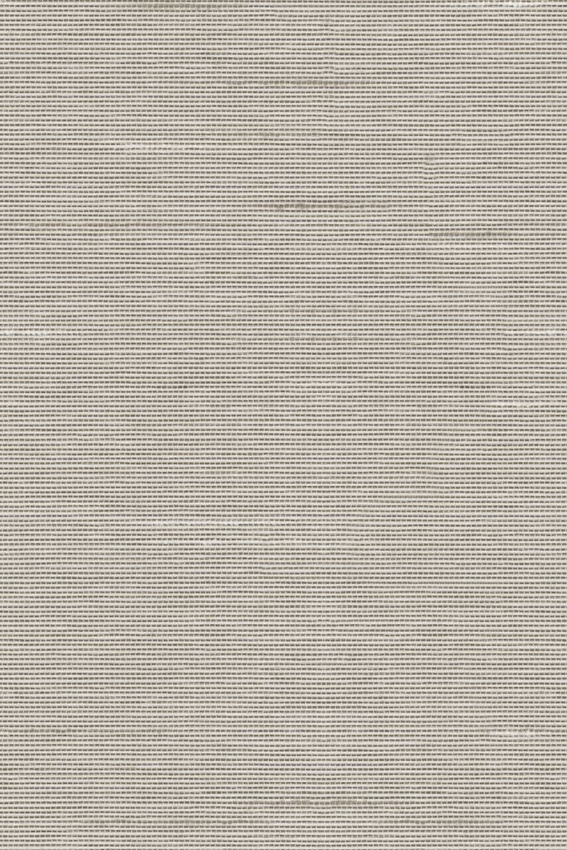 Lamelle Haiti 2003.1166 Detailansicht