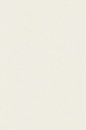 Lamelle Bulgarien 2004.1058
 Detailansicht