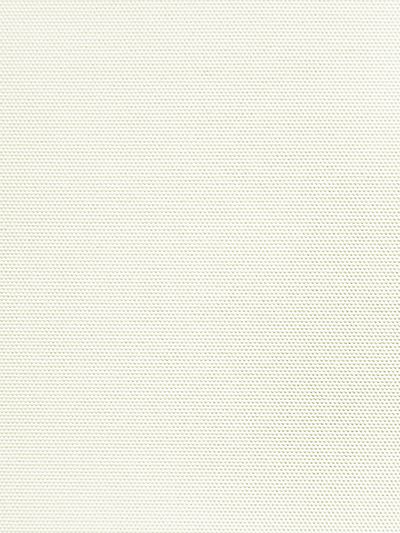 Bergwitzsee 010195 Bergwitzsee 010195