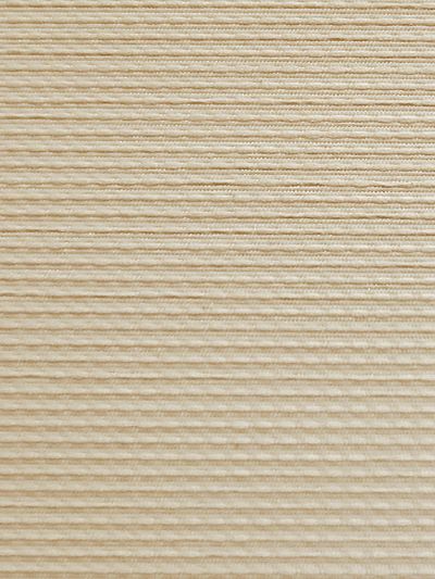 Sternsee 022221 Sternsee 022221