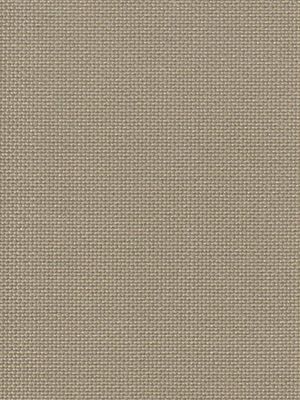 Scharmützelsee 076926