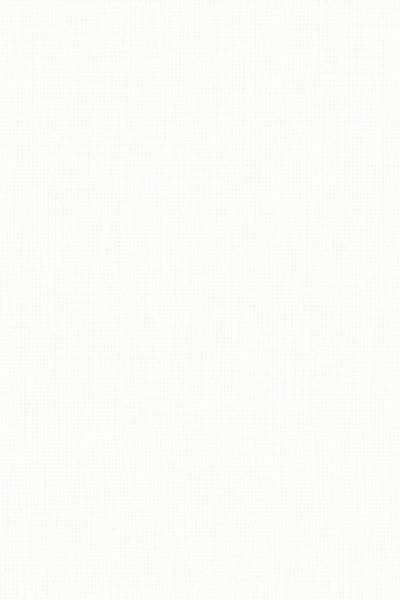 Lamelle Chile 1001.1142 Lamelle Chile 1001.1142