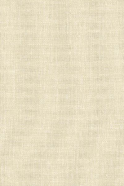 Lamelle Chile 2002.1143 Lamelle Chile 2002.1143