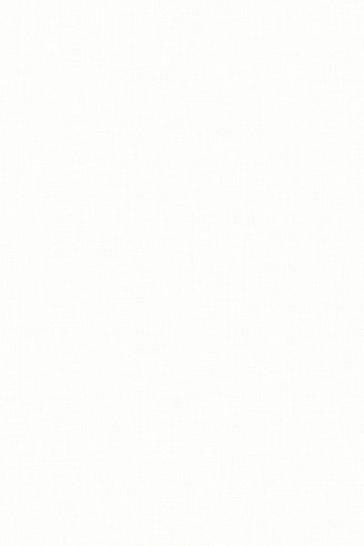 Lamelle Chile BO 1001.1171