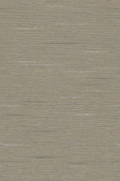 Lamelle Haiti BO 7006.1189