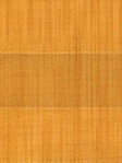 Plissee Cotton 3116.1356 Detailansicht