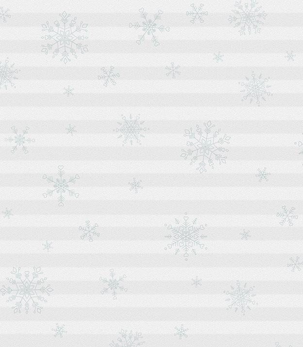 Detailansicht Plissee Snowflakes Screenlight 6901.4170