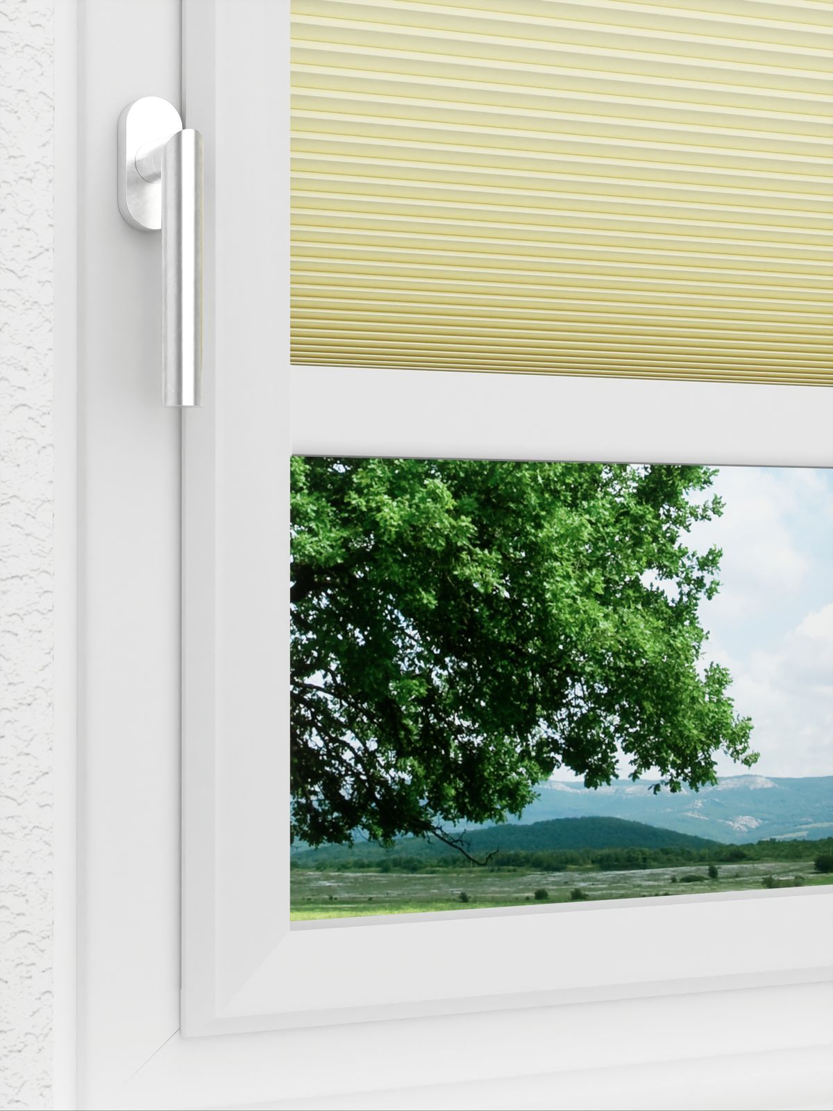 Detailansicht LYSEL HOME Plissee 016A Nana BO Wabe