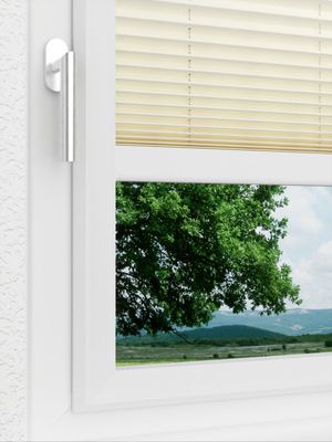 Preview LYSEL HOME Plissee 101A Aralia Pearl 3