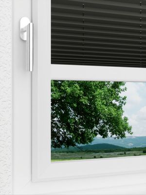 Preview LYSEL HOME Plissee 202B Aralia BO 3
