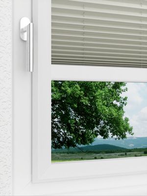 Preview LYSEL HOME Plissee 212B Aralia Pearl 3