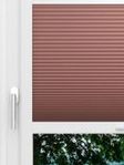 LYSEL HOME Plissee 339A Lightly Wabe Fensteransicht