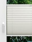 LYSEL HOME Plissee 219B Aralia BO Fensteransicht