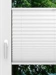 LYSEL HOME Plissee 205B Aralia Fensteransicht