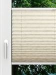LYSEL HOME Plissee 328A Shiny Rings Fensteransicht